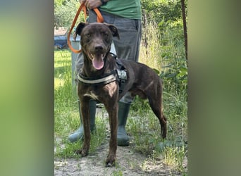 Philip, geb. 04.2025, 53cm sucht seine Menschen