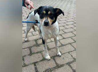 Vanda, geboren 29.01.2024, 47cm sucht ihr Glück