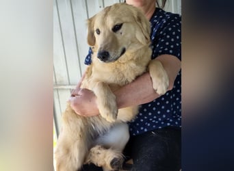 Bonita, geboren 25.08.2025, 44cm sucht tierliebe Menschen