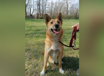 Mira, geb. 06.2024, 46cm sucht ihr Zuhause