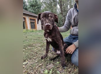 Philip, geboren 28.04.2025, 53cm sucht sein Zuhause