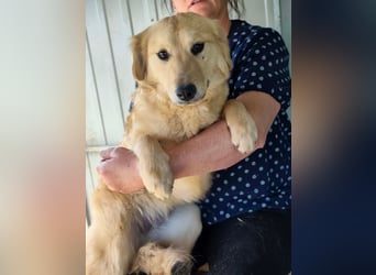 Bonita, geboren 25.08.2025, 44cm sucht tierliebe Menschen