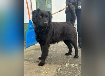 Kamilla, geb. 08.2024, 46cm sucht ihr Glück