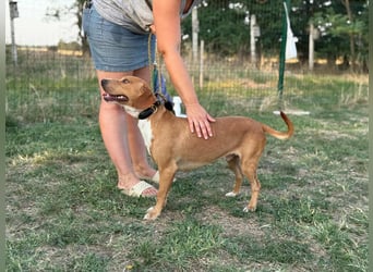 Raffael, geboren 31.10.2024, 48cm sucht seine Familie