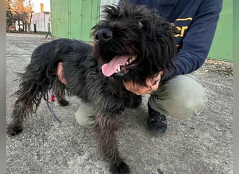 Emi, geboren 19.09.2018, 45cm sucht ihre Familie