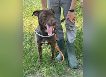 Philip, geb. 04.2025, 53cm sucht seine Menschen