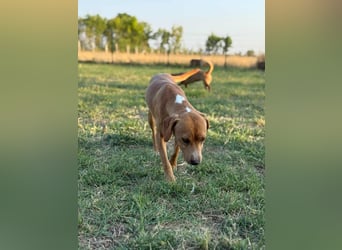 Raffael, geboren 31.10.2024, 48cm sucht seine Familie