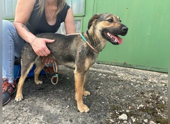 Jane, geboren 20.09.2025, 42cm sucht ihr Zuhause