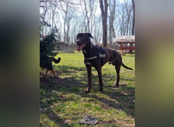 Philip, geb. 04.2025, 53cm sucht seine Menschen