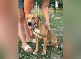 Raffael, geboren 31.10.2024, 48cm sucht seine Familie