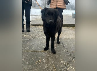 Kamilla, geb. 08.2024, 46cm sucht ihr Glück