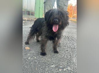 Emi, geboren 19.09.2018, 45cm sucht ihre Familie