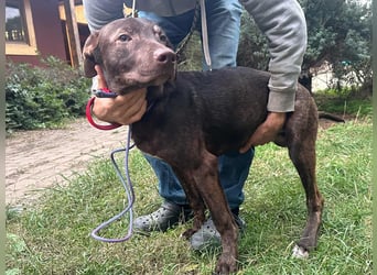 Philip, geboren 28.04.2025, 53cm sucht sein Zuhause