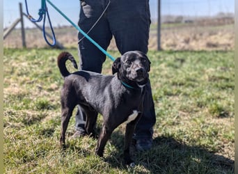 Morty, geb. 10.2020, 49cm, sucht seine Spielgefährten