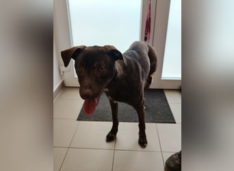 Philip, geb. 04.2025, 53cm sucht seine Menschen