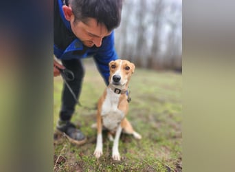 Törpie, 3 Jahre, 46cm sucht sein für immer Zuhause