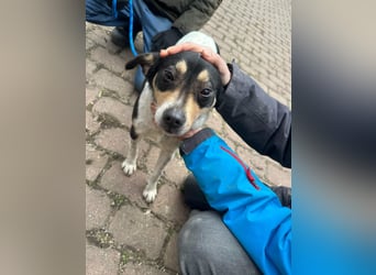 Vanda, geboren 29.01.2024, 47cm sucht ihr Glück