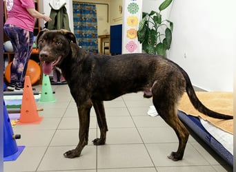 Philip, geb. 04.2025, 53cm sucht seine Menschen