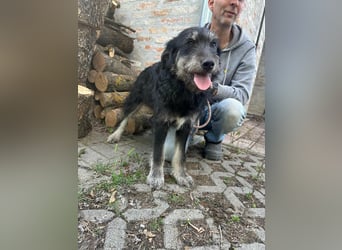 Timon, geb. 12.2025, 35cm sucht seine Abenteurer