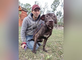 Philip, geboren 28.04.2025, 53cm sucht sein Zuhause