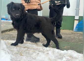 Kamilla, geb. 08.2024, 46cm sucht ihr Glück