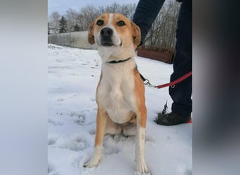 Reyla, geboren 01.05.2025, 49cm sucht ihre Menschen