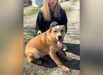 Bambusz, geb. 09.2025, 48cm sucht sein für immer Körbchen