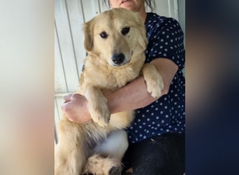 Bonita, geboren 25.08.2025, 44cm sucht tierliebe Menschen