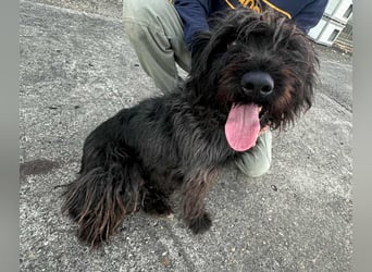 Emi, geboren 19.09.2018, 45cm sucht ihre Familie