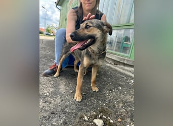 Jane, geboren 20.09.2025, 42cm sucht ihr Zuhause