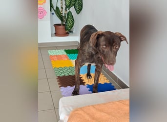 Philip, geb. 04.2025, 53cm sucht seine Menschen