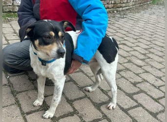 Vanda, geboren 29.01.2024, 47cm sucht ihr Glück