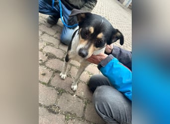 Vanda, geboren 29.01.2024, 47cm sucht ihr Glück