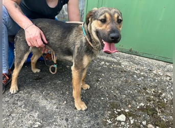 Jane, geboren 20.09.2025, 42cm sucht ihr Zuhause