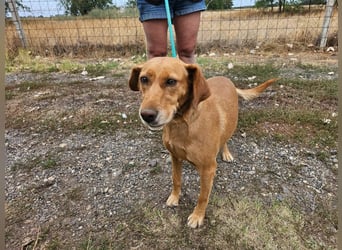 Kanya, geboren 01.01.2024, 49cm sucht ihr Zuhause