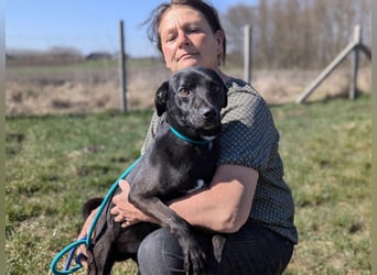 Morty, geb. 10.2020, 49cm, sucht seine Spielgefährten