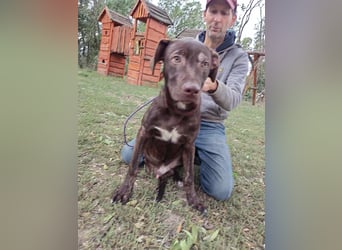 Philip, geboren 28.04.2025, 53cm sucht sein Zuhause