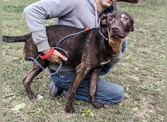 Philip, geboren 28.04.2025, 53cm sucht sein Zuhause