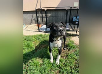 Thea, geboren 01.01.2015, 45cm sucht ruhiges Zuhause