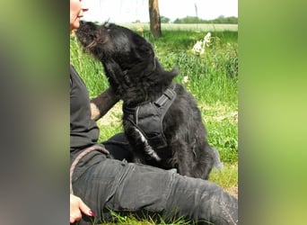 Nancy, geboren 04.2022, 47cm sucht ihr Zuhause