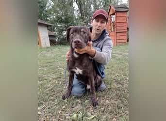 Philip, geboren 28.04.2025, 53cm sucht sein Zuhause