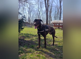 Philip, geb. 04.2025, 53cm sucht seine Menschen