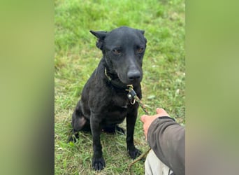 Dennis, geboren 01.06.2023, 53cm sucht nach seinem Glück