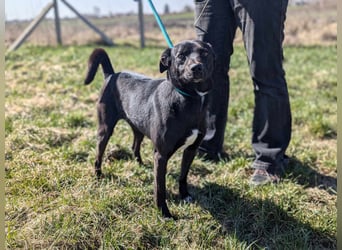 Morty, geb. 10.2020, 49cm, sucht seine Spielgefährten