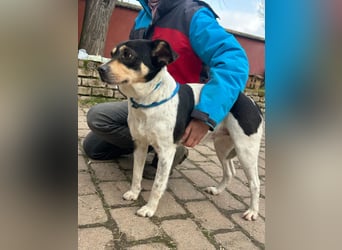 Vanda, geboren 29.01.2024, 47cm sucht ihr Glück