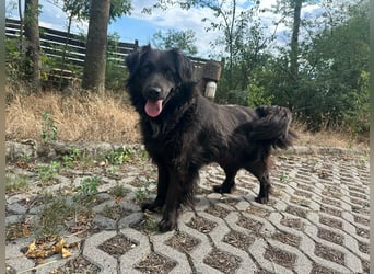 Kamilla, geb. 08.2024, 46cm sucht ihr Glück