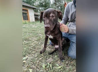 Philip, geboren 28.04.2025, 53cm sucht sein Zuhause