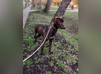 Philip, geb. 04.2025, 53cm sucht seine Menschen