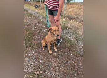 Kanya, geboren 01.01.2024, 49cm sucht ihr Zuhause
