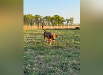 Raffael, geboren 31.10.2024, 48cm sucht seine Familie